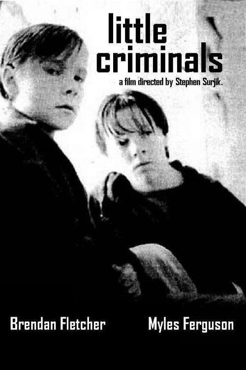 Movie poster for Little Criminals (1995)