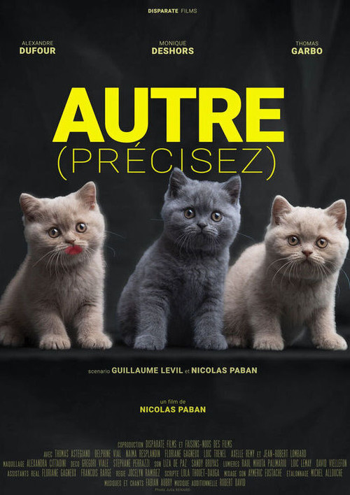 Movie poster for Autre (précisez)