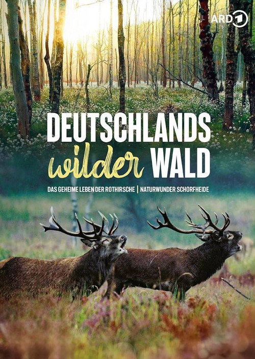 Movie poster for Das geheime Leben der Rothirsche (2020)