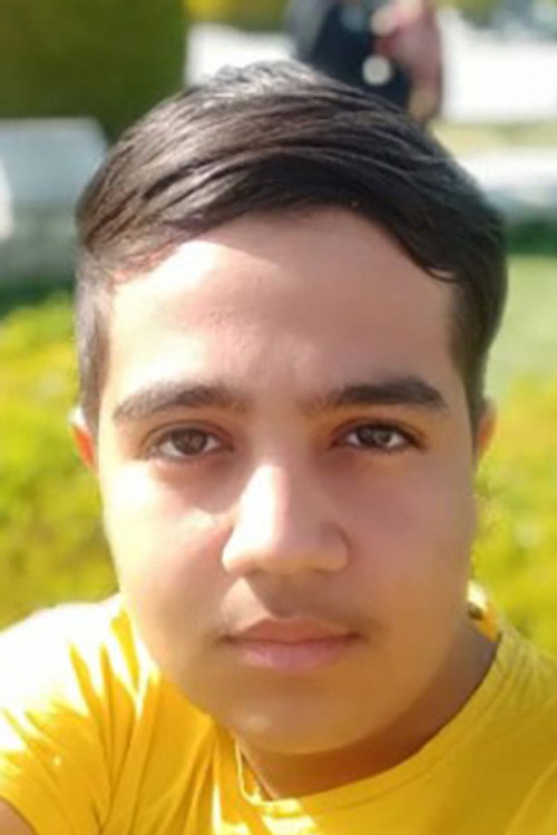Photo of Sajjad Dolati, Acting