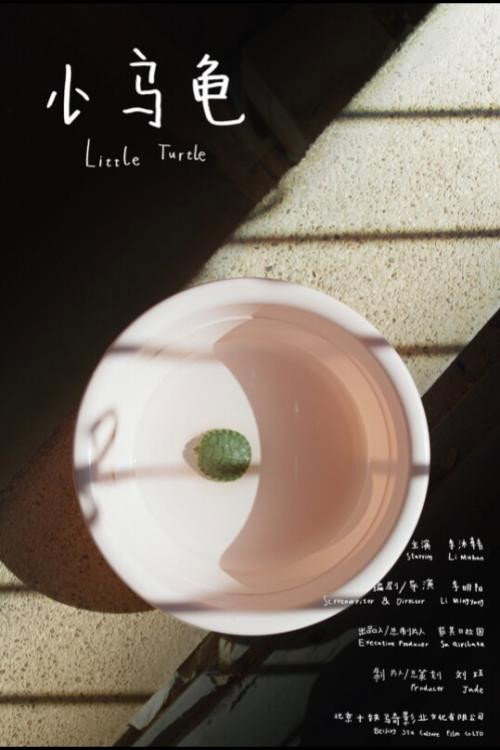 Movie poster for Little Turtle (2023)