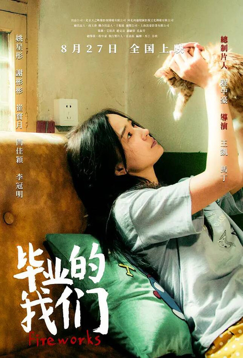 Movie poster for Fireworks (2019)