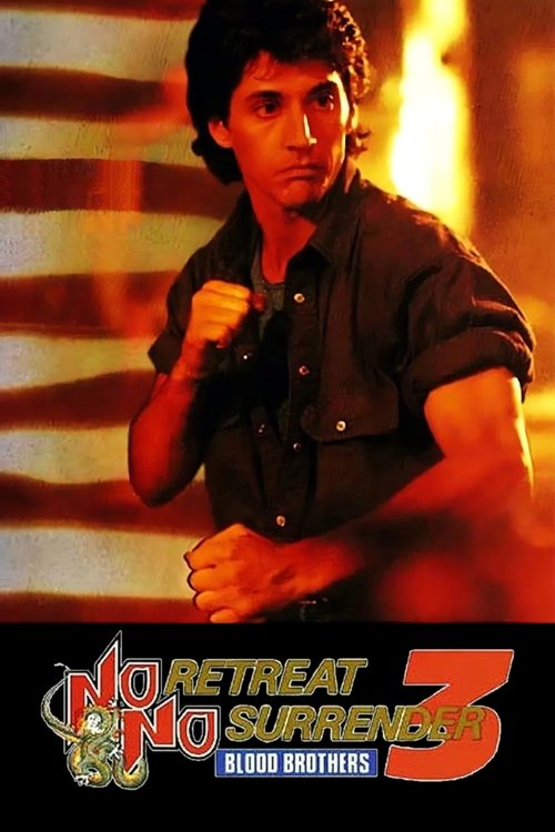 Movie poster for No Retreat, No Surrender 3: Blood Brothers (1990)
