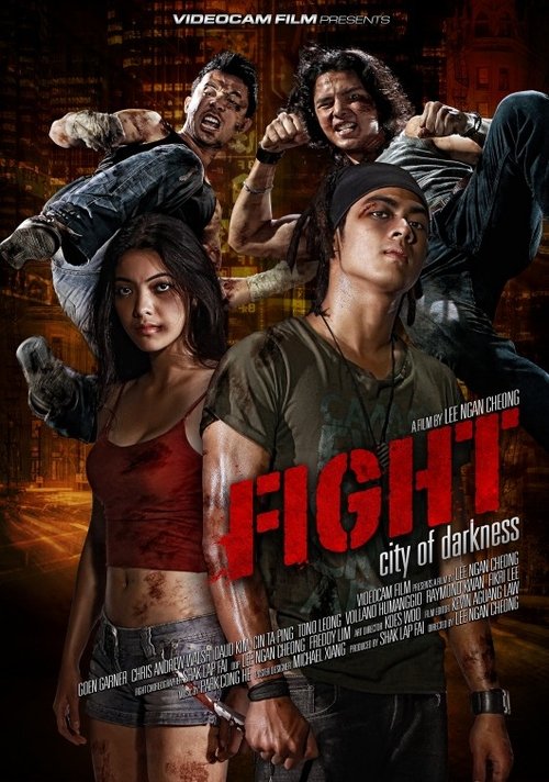 Movie poster for Fight: City of Darkness (2011)