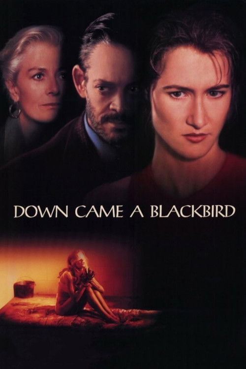 Movie poster for Down Came a Blackbird (1995)