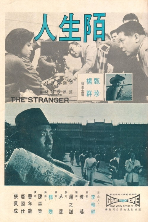 Movie poster for The Stranger (1968)