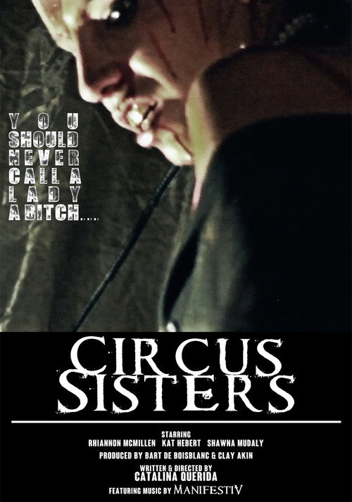 Movie poster for Circus Sisters (2015)
