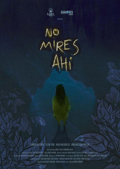 Movie poster for No mires ahí (2013)