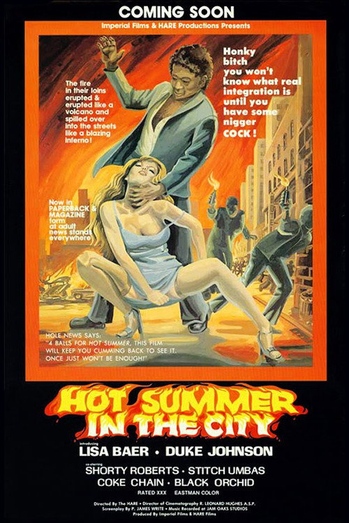 Movie poster for Hot Summer in the City (1976)