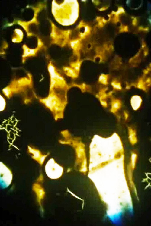 Movie poster for Microbes (1990)