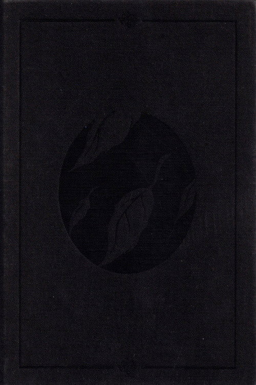 Movie poster for Clandestine (2003)