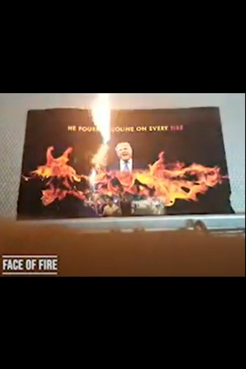 Movie poster for FACE OF FIRE (2020)