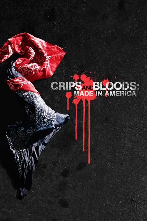 Movie poster for Crips and Bloods: Made in America (2009)