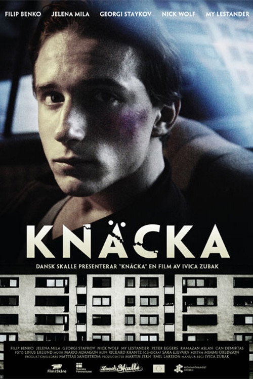 Movie poster for Dreams (2009)