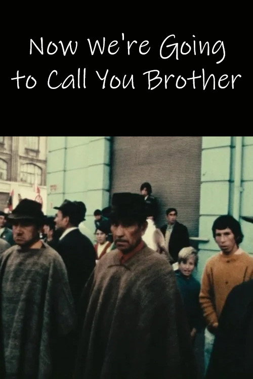 Movie poster for Now We're Going to Call You Brother (1971)