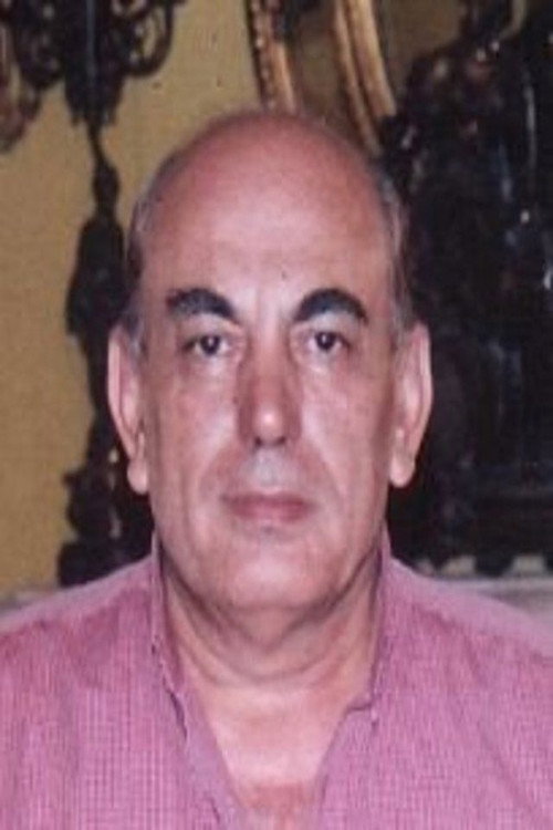 Abdel Aziz Elsokkary profile