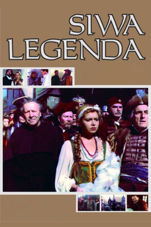 Movie poster for Grey Legend (1991)