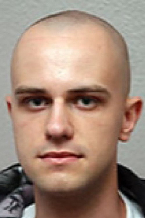 Photo of Dimitrij, Acting