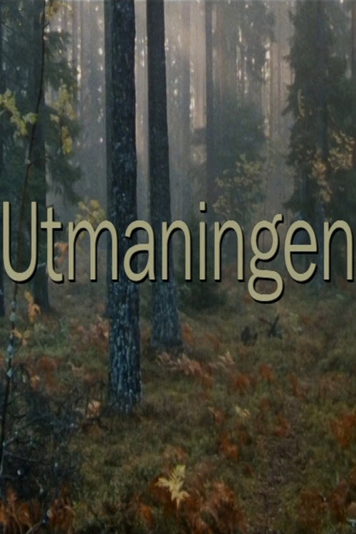 Movie poster for Utmaningen (1994)