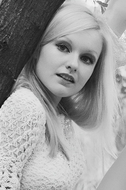 Elaine Donnelly profile