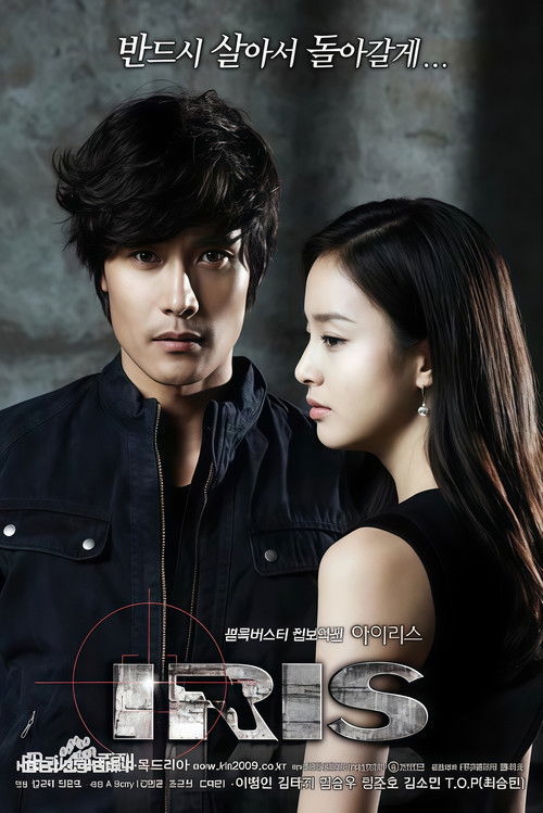 IRIS 特务情人 DVD版 poster