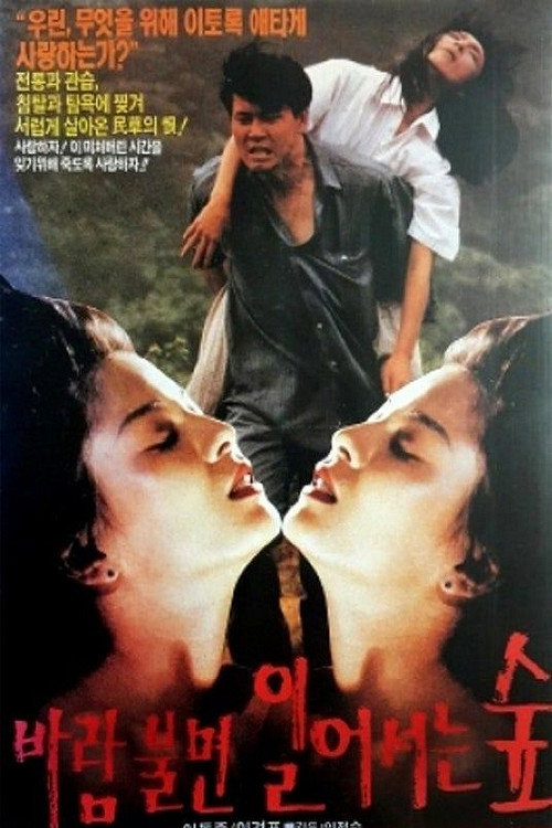 Movie poster for 바람불면 일어서는 숲 (1991)