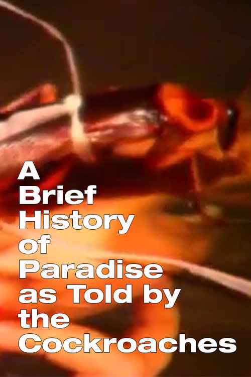 Movie poster for A Brief History of Paradise as Told by the Cockroaches (2003)