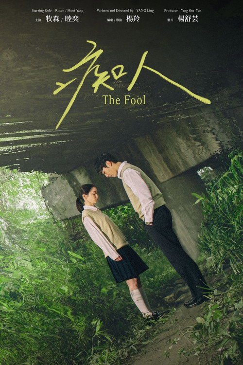 Movie poster for The Fool (2023)
