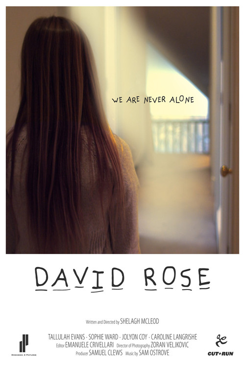 Movie poster for David Rose (2011)