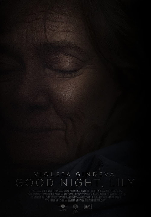 Movie poster for Good Night, Lily (2021)