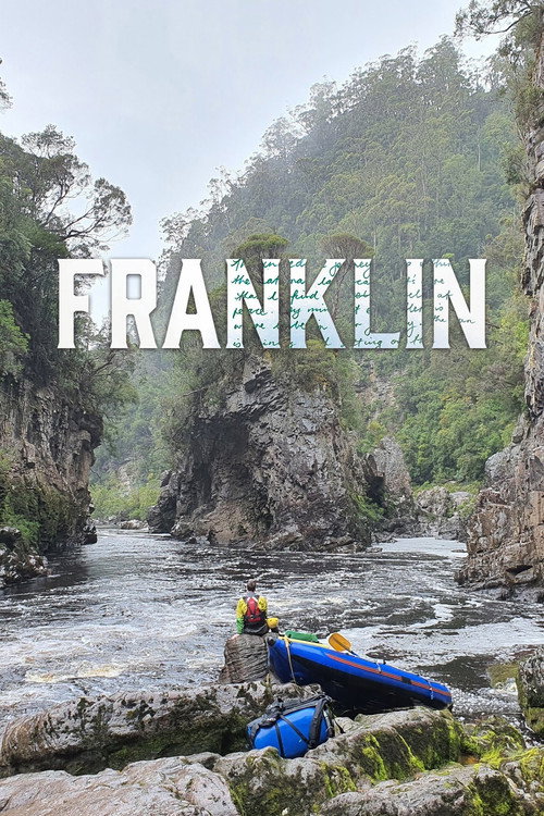 Movie poster for Franklin (2022)