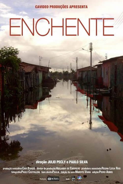 Movie poster for Enchente (2011)