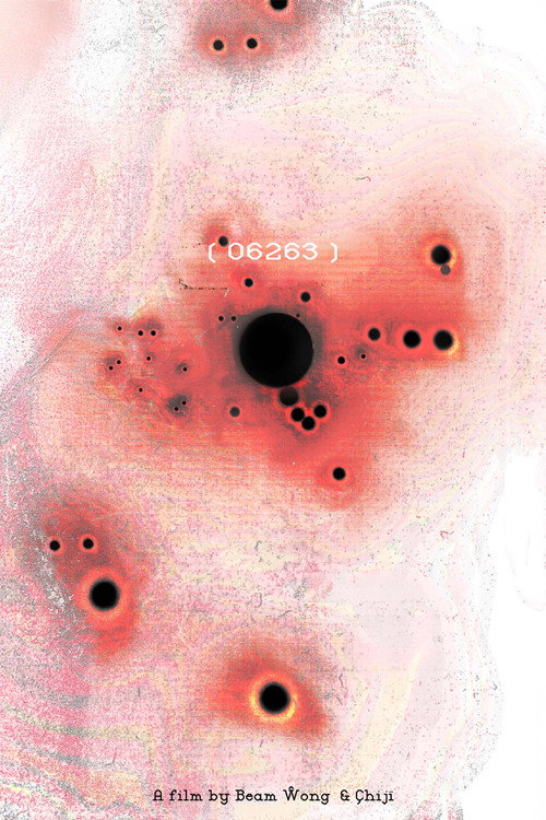 Movie poster for 06263 (2025)