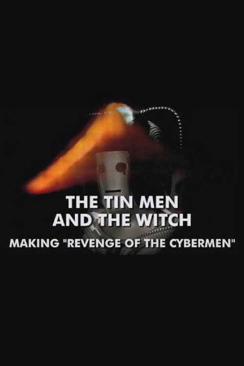 Movie poster for The Tin Men and the Witch (2010)