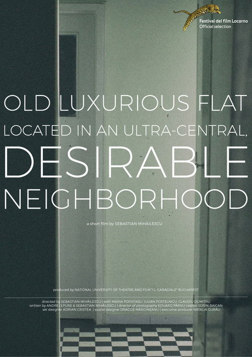 Movie poster for Old, Luxurious Flat Located in an Ultra-Central, Desirable Neighborhood (2016)