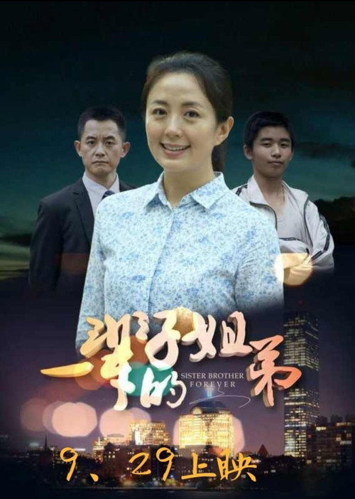 Movie poster for Sister Brother Forever (2017)