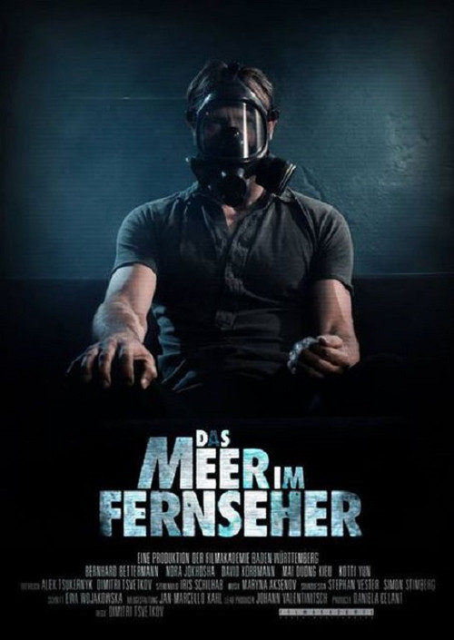 Movie poster for Das Meer im Fernseher (2013)