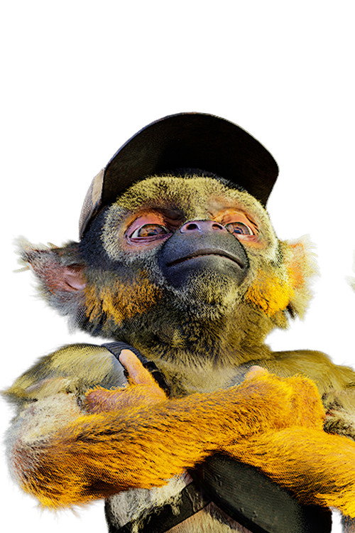 Photo of Ash, Acting
