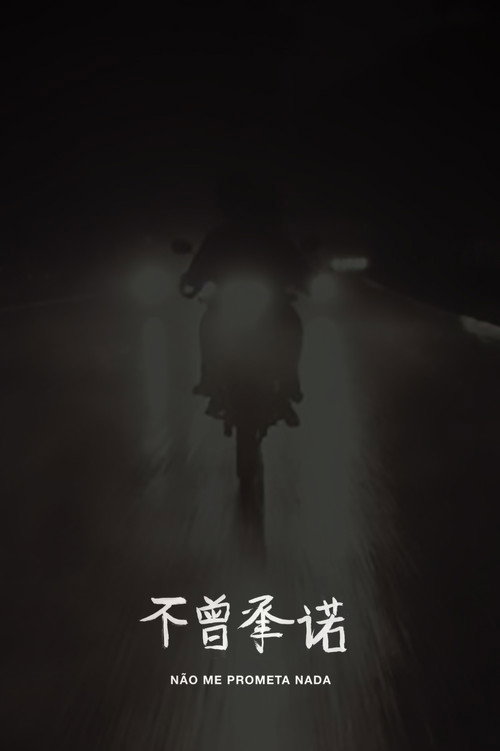 Movie poster for Don't Promise Me Anything (2016)