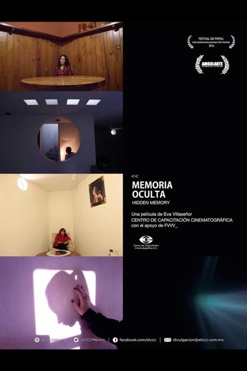 Movie poster for Hidden Memory (2014)