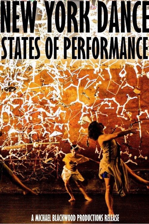 Movie poster for New York Dance States of Performance (2010)