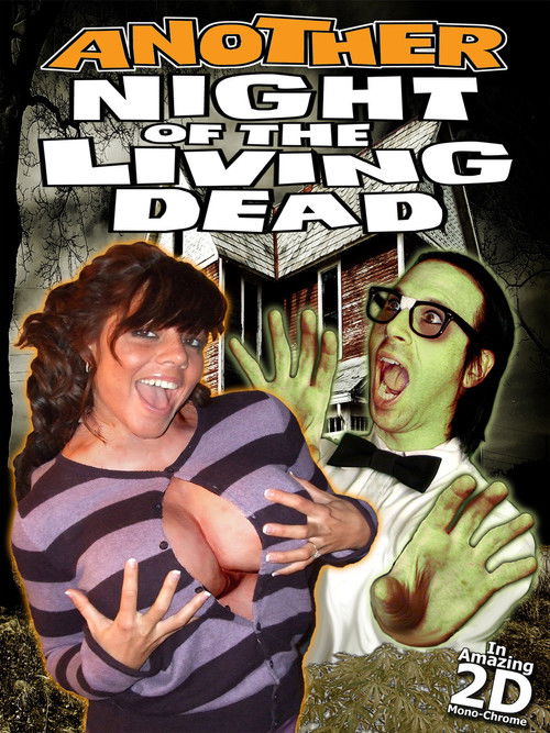 Movie poster for Another Night of the Living Dead (2011)