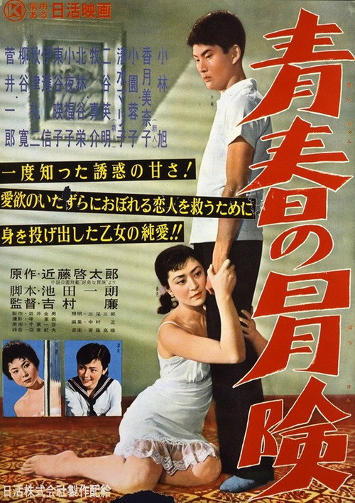 Movie poster for The Way of Youth (1957)