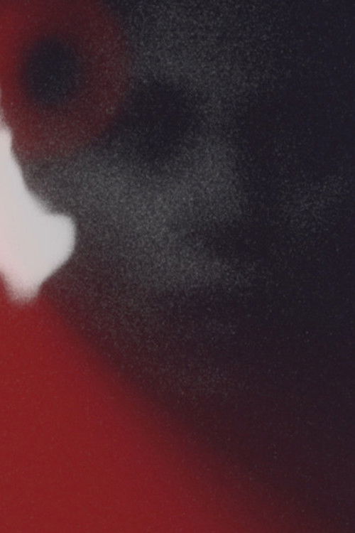 Movie poster for The Visible Spectrum (2022)