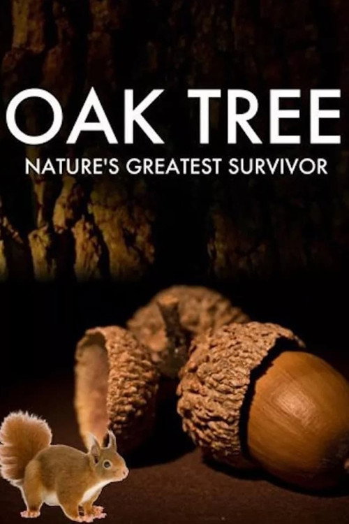 Movie poster for Oak Tree: Nature's Greatest Survivor (2015)