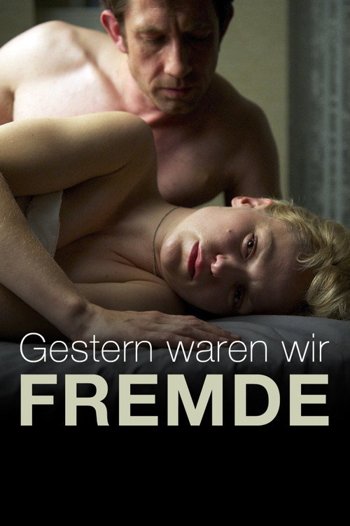 Movie poster for Strangers and Lovers (2012)