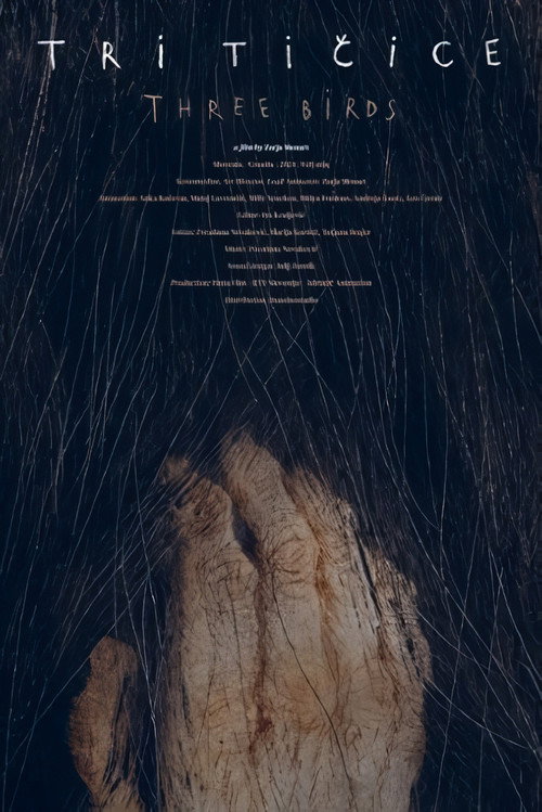 Movie poster for Three Birds (2025)