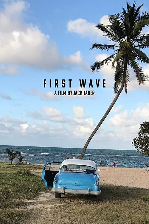 Movie poster for First Wave