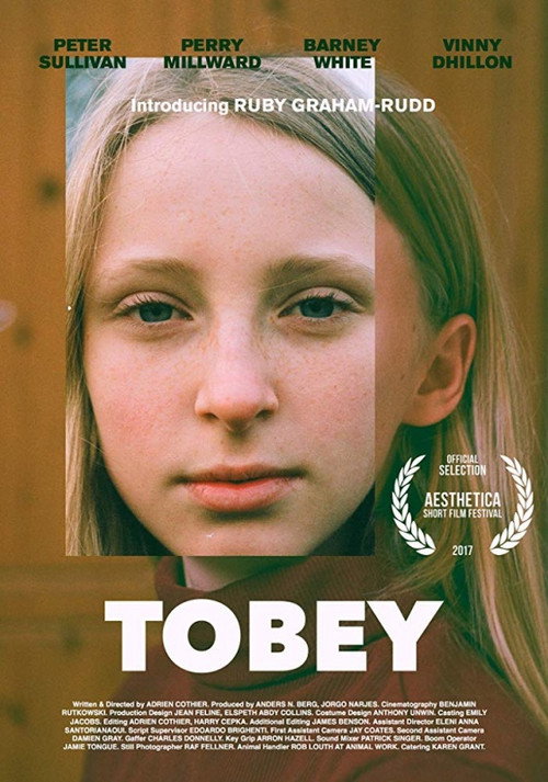 Movie poster for Tobey (2017)
