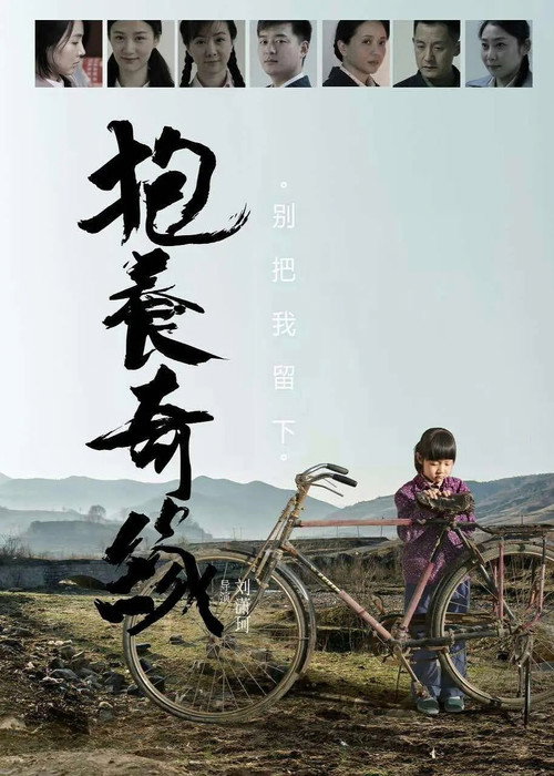 Movie poster for 抱养奇缘 (2015)